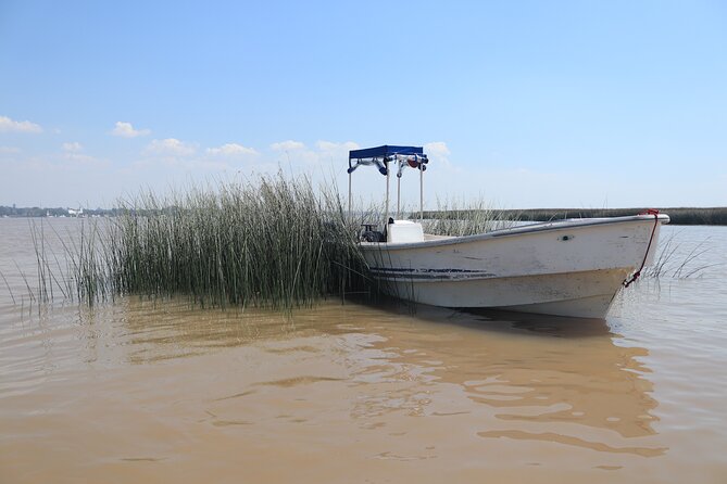 Unveiling Tigre Secrets of Delta & Rio de la Plata - Why Tigre is worth a half-day from Buenos Aires
