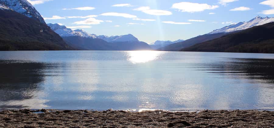 Ushuaia 4WD Off-Road Adventure: Hidden Lakes & Argentine BBQ - The old logger tracks near Lake Fagnano