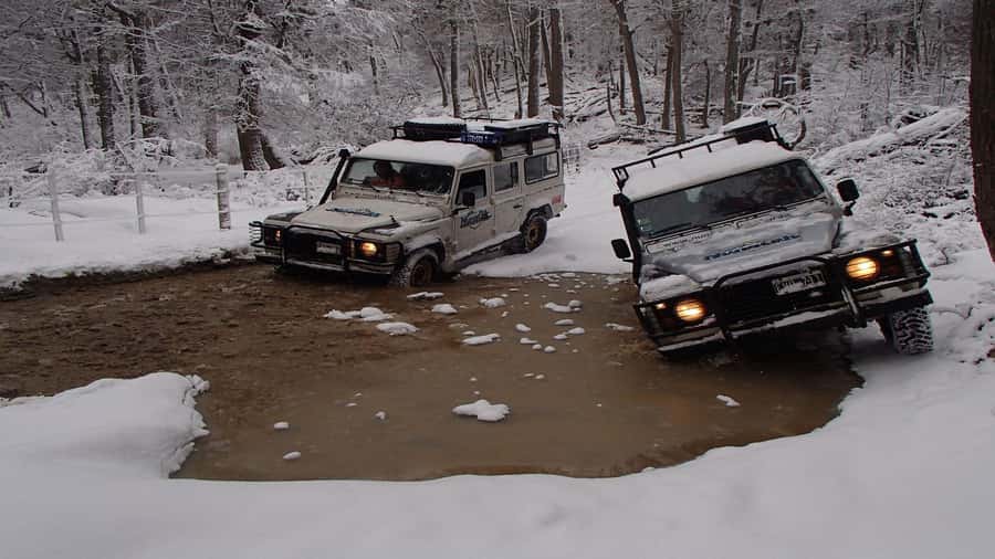 Ushuaia 4WD Off-Road Adventure: Hidden Lakes & Argentine BBQ - Beaver dams and the forest walk