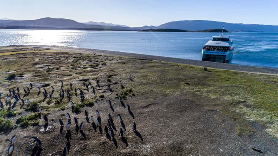 Ushuaia: Beagle Channel and Penguin Island - Price, inclusions, and overall value