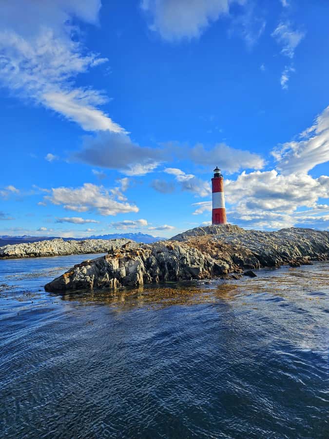 Ushuaia: Beagle Channel and Penguin Island - Getting to the port and boarding the catamaran