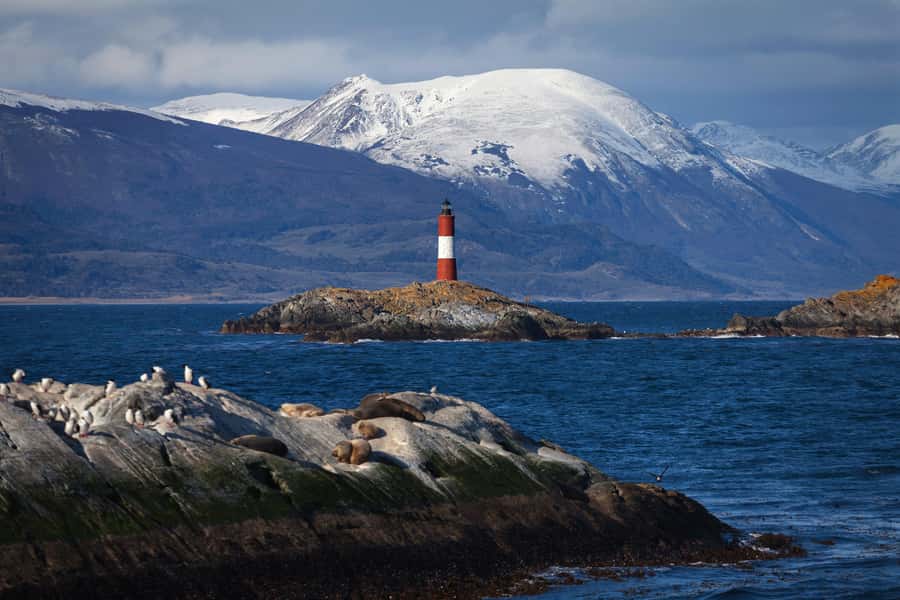 Ushuaia: Beagle Channel Boat Tour and Penguin Experience - Why this Ushuaia day trip costs so much