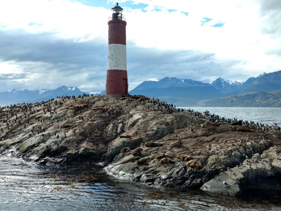 Ushuaia: Beagle Channel & Sea Wolves Island Catamaran Cruise - Comfort, crowding, and the practical details
