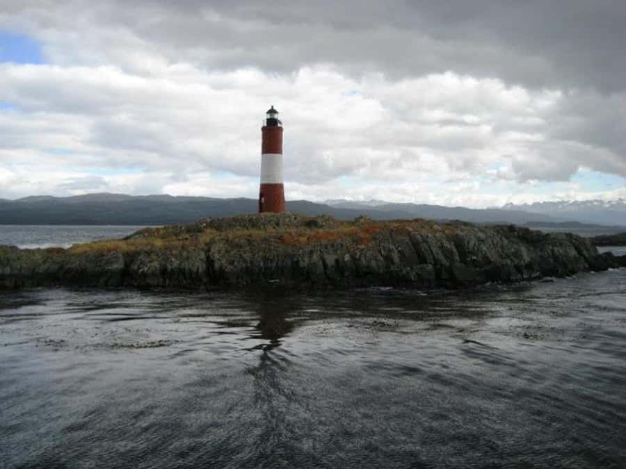 Ushuaia: Beagle Channel, Seal Island & Bridges Islands Tour - Who should book this Ushuaia boat trip?