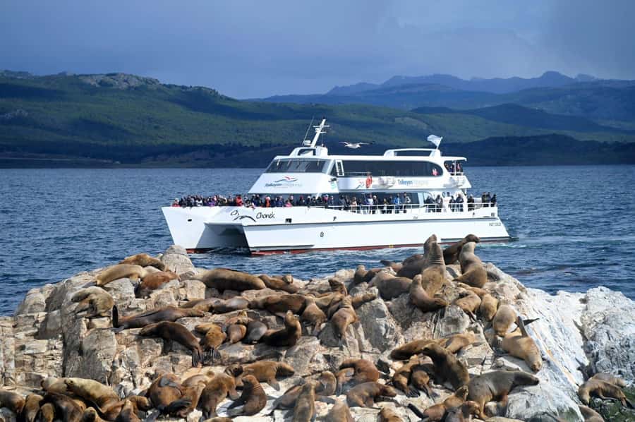 Ushuaia: Beagle Channel, Seal Island & Bridges Islands Tour - Leaving Ushuaia Bay at 9:30 a.m.