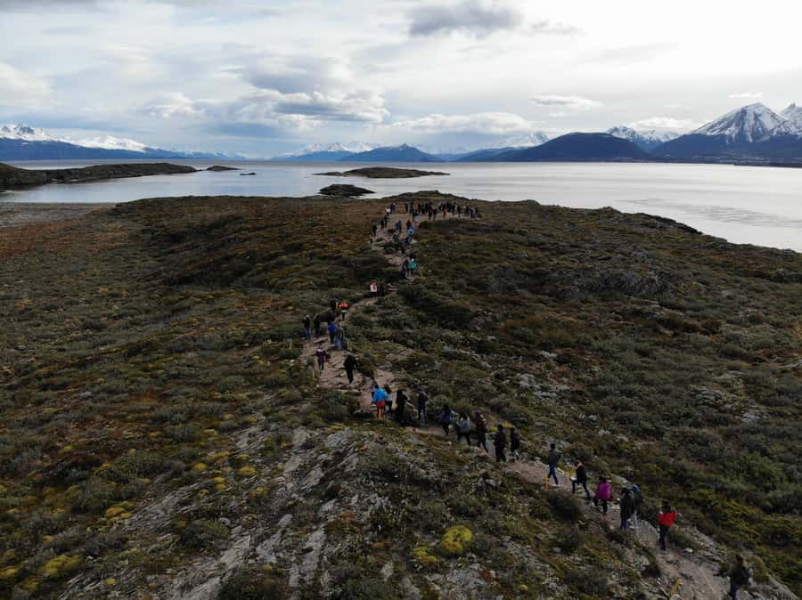 Ushuaia: Beagle Channel, Seal Island & Bridges Islands Tour - Los Lobos Island and the sea lions