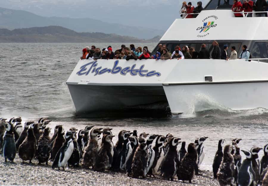 Ushuaia: Penguin Watching Tour by Catamaran - Leaving Ushuaia Bay for the Beagle Channel
