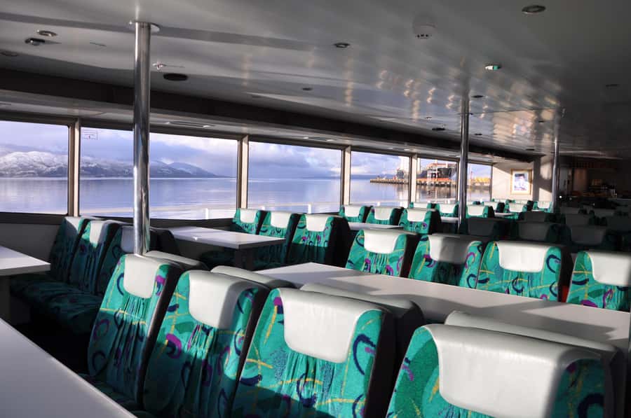 Ushuaia: Penguin Watching Tour by Catamaran - Comfort, food, and the practical side of five hours