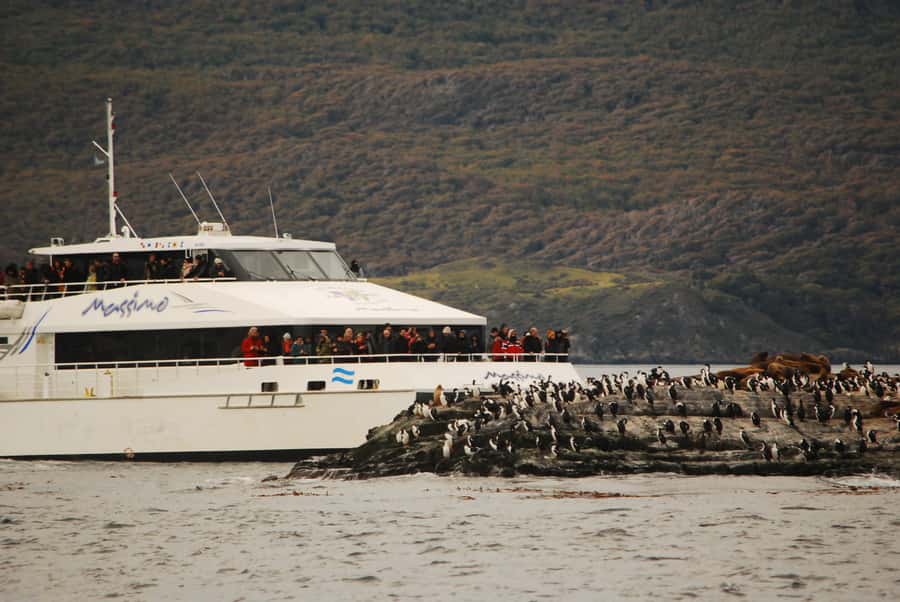 Ushuaia: Penguin Watching Tour by Catamaran - Bird Island and the small details of Tierra del Fuego