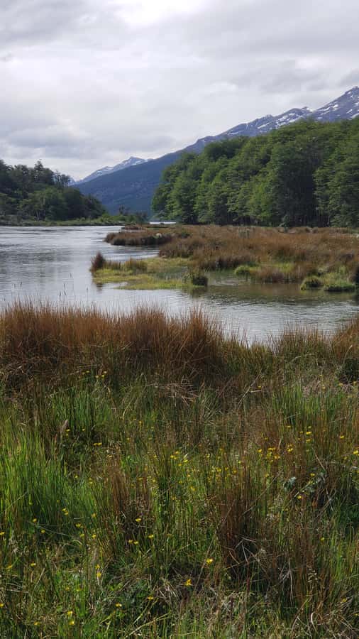 Ushuaia: Private Tour Tierra del Fuego National Park - Roca Lake and coffee in the Patagonian forest