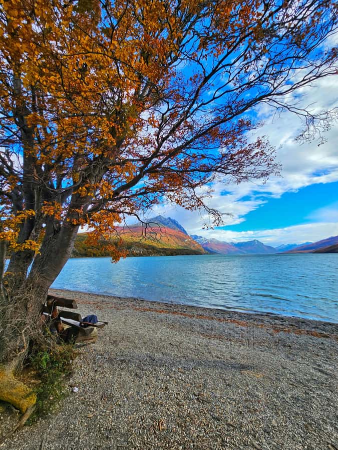 Ushuaia: Tierra del Fuego National Park - The guide can make or break the five-hour format