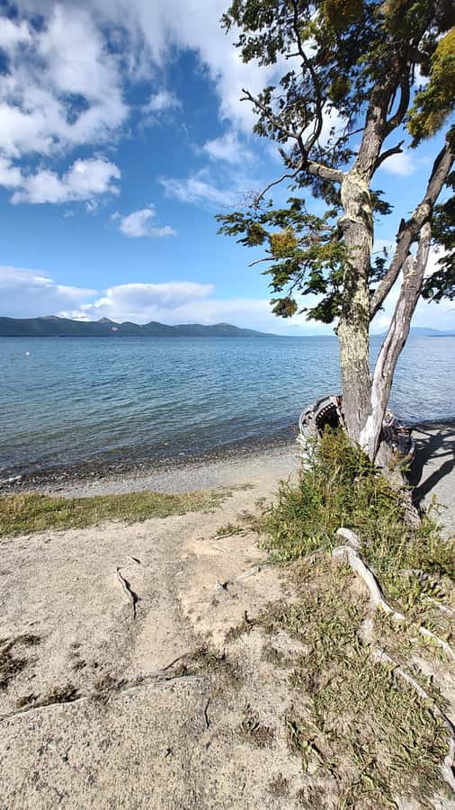 Ushuaia: Tierra del Fuego National park Car Tour - From the Pan-American Highway to wider views