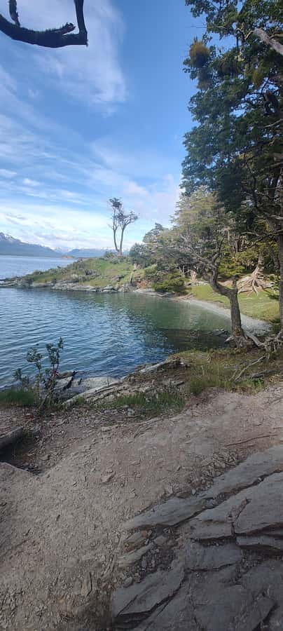 Ushuaia: Tierra del Fuego National park Car Tour - What the $159 price really buys