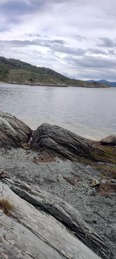 Ushuaia: Tierra del Fuego National park Car Tour - Who will get the most from this tour