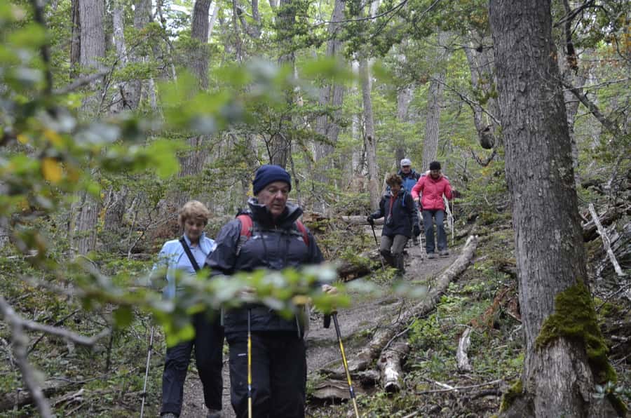 Ushuaia: Tierra del Fuego Trekking and Canoeing - Should you book the Tierra del Fuego canoe and trekking tour?