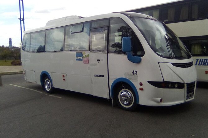 Vans and Minibuses Service - Why a private van can make sense for a large group
