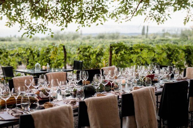 Visita Bodega Huarpe + Almuerzo Bodega Lagarde. Transfer privado - Key points to know before booking
