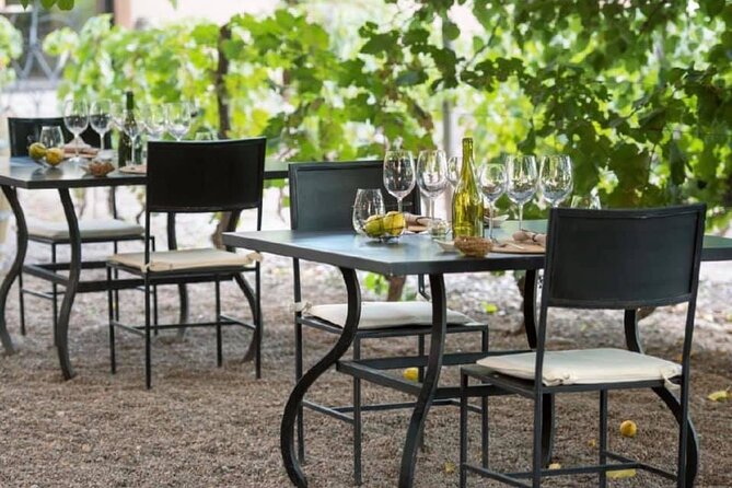 Visita Bodega Huarpe + Almuerzo Bodega Lagarde. Transfer privado - What makes Bodega Lagarde a good first stop