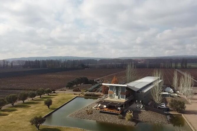 Visita Bodega Huarpe + Almuerzo Bodega Lagarde. Transfer privado - Wine tasting at Huarpe Riglos Family Wines
