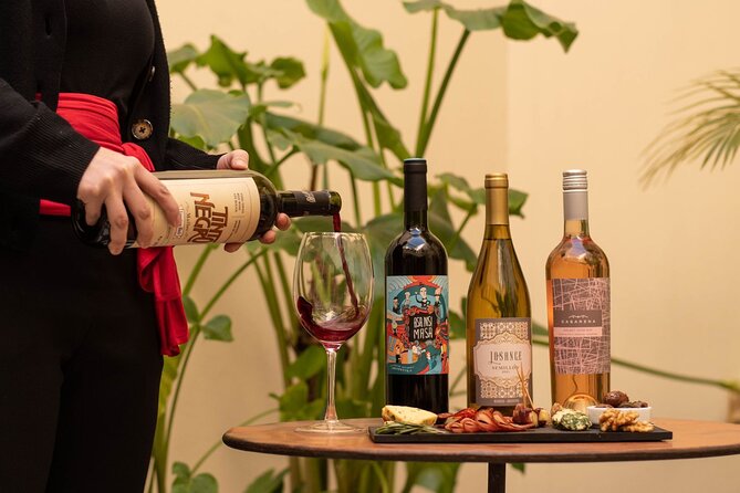Wine Tasting Boutique in Buenos Aires - Key Points About This Buenos Aires Tasting