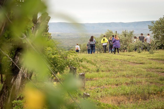 Wine Tour Privado a Calamuchita, Córdoba - Argentina - The Calamuchita road adds more than transport