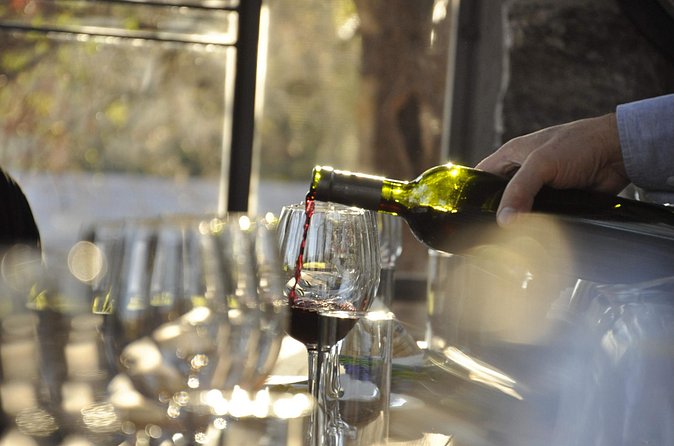 Wine Tour to Colonia Caroya, Cordoba - Half Day - What the $117 price really covers