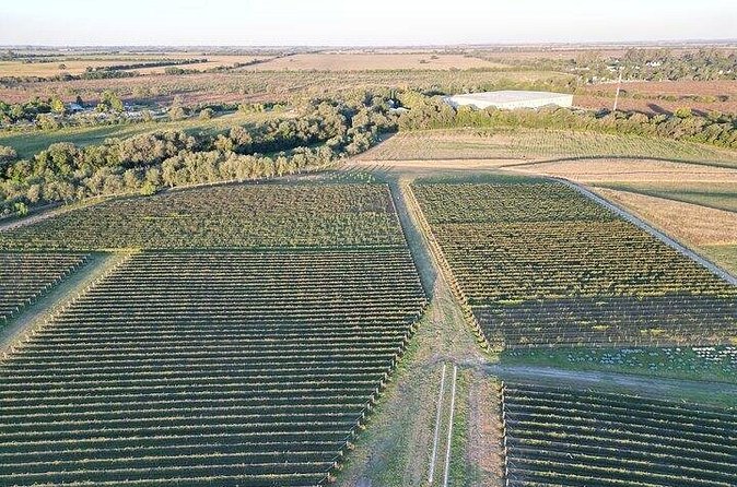 Wine Tour to Colonia Caroya, Cordoba - Half Day - Who will enjoy this tour most