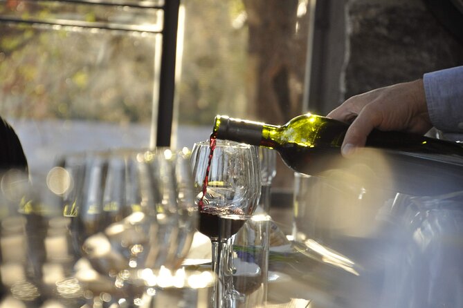 Wine Tour to Colonia Caroya, Cordoba - Half Day - Bodega la Caroyense and Córdoba’s first winery