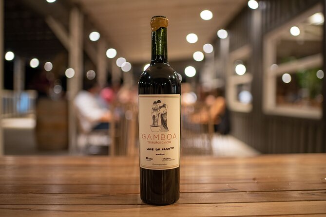 Winery and Tasting Experience in Buenos Aires - What the $225 price really covers