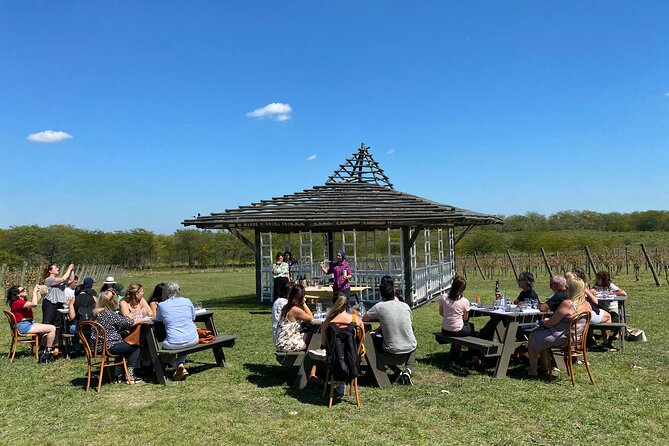 Winery and Tasting Experience in Buenos Aires - Group size, language, and the pace of the day