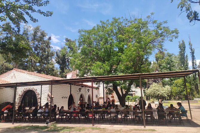 Zipline and Arborism without Lines for 1 Day on the Banks of the Mendoza River - Choosing among 71 aerial games