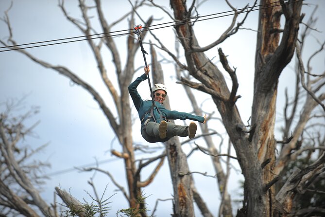 Zipline on Cerro Frías - Four 500-meter rides instead of one quick thrill